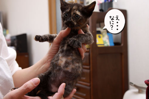 新しいスタート!_d0355333_19323721.jpg