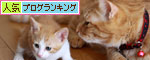 新しいスタート!_d0355333_19323950.jpg