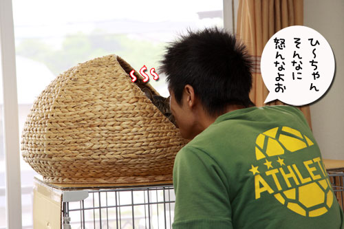 ごん太に会ってきたよ_d0355333_19324402.jpg