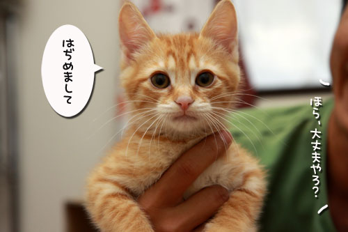 ごん太に会ってきたよ_d0355333_19324670.jpg