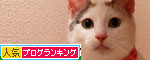 菜々子の帰宅_d0355333_19332975.jpg