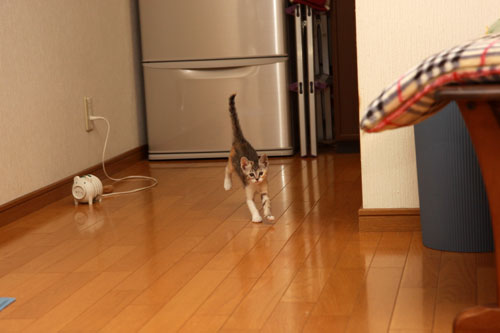 背中がぽわっと!_d0355333_19333155.jpg