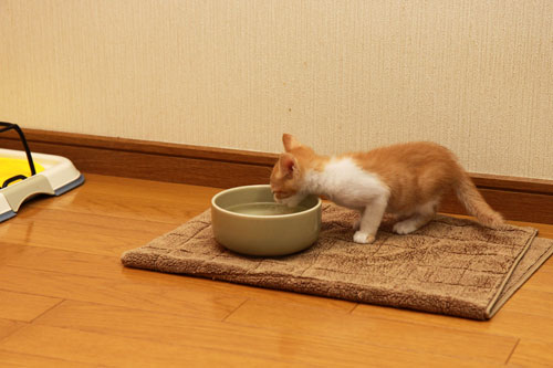 背中がぽわっと!_d0355333_19333266.jpg