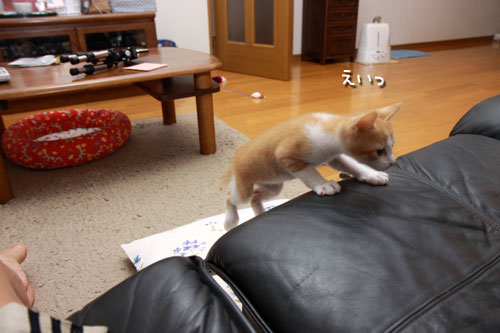 ファイトだ、みのる!_d0355333_19334620.jpg