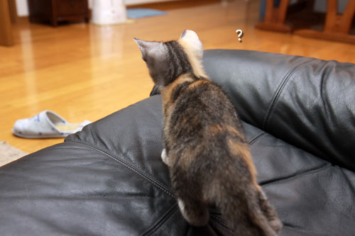 ファイトだ、みのる!_d0355333_19334660.jpg