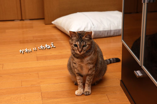 おしりのにおいは殺人的。_d0355333_19334864.jpg