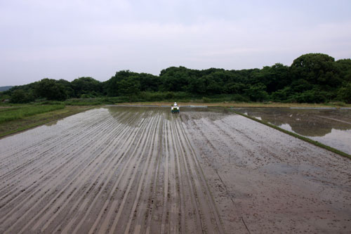 田舎住まい。_d0355333_19335976.jpg