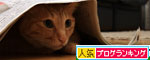 これがええのや!_d0355333_19340478.jpg