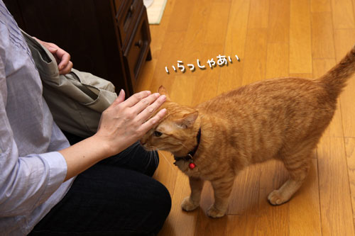 帰ってきたちびっこたち!_d0355333_19342414.jpg
