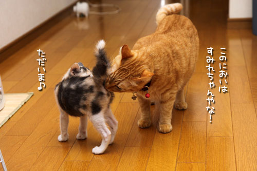 帰ってきたちびっこたち!_d0355333_19342600.jpg