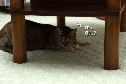 ちびっこおもちゃは誰のもの?★前編_d0355333_19342821.jpg
