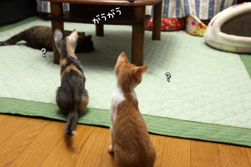 ちびっこおもちゃは誰のもの?★前編_d0355333_19342868.jpg