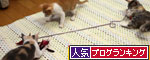 嬉しいご報告!_d0355333_19343883.jpg