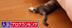なんでもにゃんぐるジム_d0355333_19344603.jpg