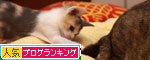 ちびっこパワーに負けないで_d0355333_19344868.jpg