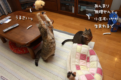 ちびっこパワーに負けないで_d0355333_19345197.jpg