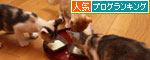 かまくらベッドの正しい使い方_d0355333_19345408.jpg
