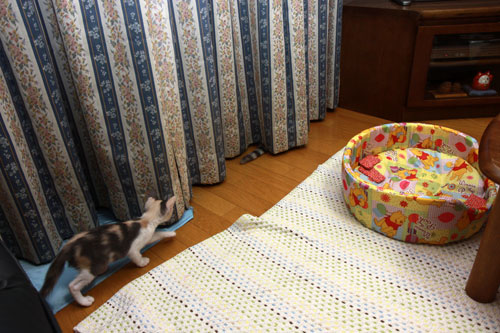 いち、に、の・・・_d0355333_19350375.jpg