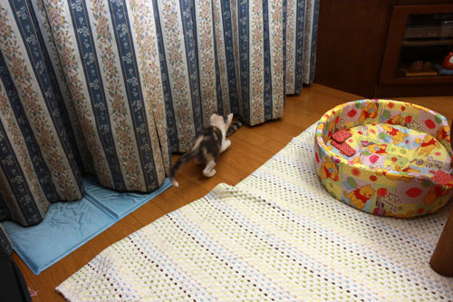 いち、に、の・・・_d0355333_19350438.jpg