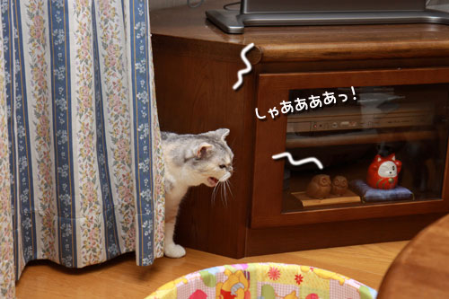 いち、に、の・・・_d0355333_19350471.jpg