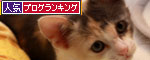 野獣系仔猫の逆襲!_d0355333_19351204.jpg