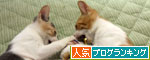 いってきます!_d0355333_19352312.jpg