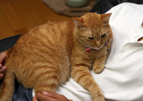 独り占めには出来ない_d0355333_19355108.jpg