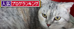 まみちゃん、病院へ。_d0355333_19355806.jpg