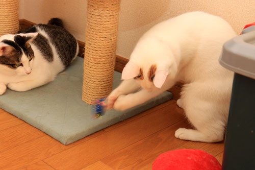 生きなおし。_d0355333_19360625.jpg