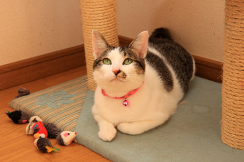 生きなおし。_d0355333_19360650.jpg