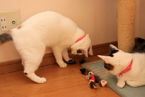 生きなおし。_d0355333_19360701.jpg