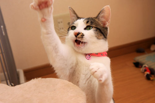 生きなおし。_d0355333_19360715.jpg