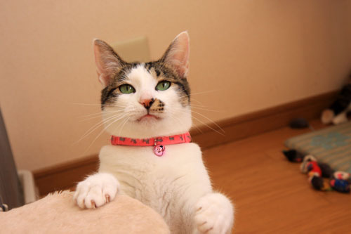 生きなおし。_d0355333_19360796.jpg