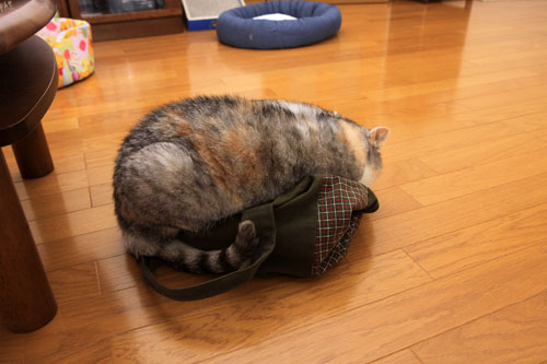 映画を見たあとは。_d0355333_19362041.jpg