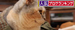 映画を見たあとは。_d0355333_19362048.jpg