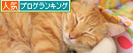 ぺちゃんこかまくら争奪戦_d0355333_19362448.jpg