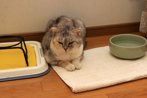 たっぷりの水_d0355333_19364500.jpg