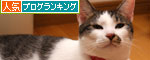 箱の使い道_d0355333_19372620.jpg