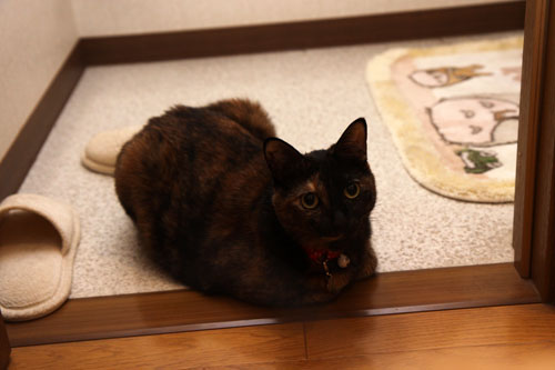 好きな場所ジプシー_d0355333_19374307.jpg