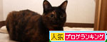 好きな場所ジプシー_d0355333_19374490.jpg