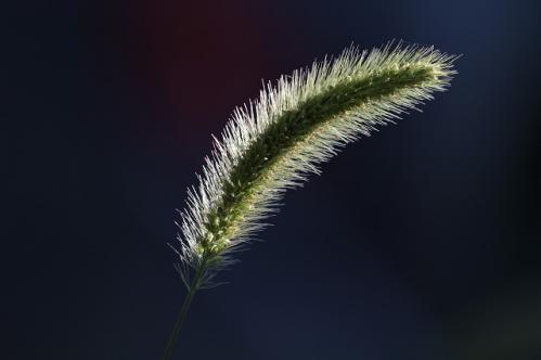 d0355333_19381330.jpg