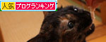 ささみ祭りにようこそ_d0355333_19382237.jpg