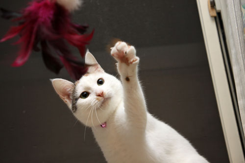 もっともっと!_d0355333_19384230.jpg
