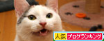 ひとりじゃないよね_d0355333_19384479.jpg