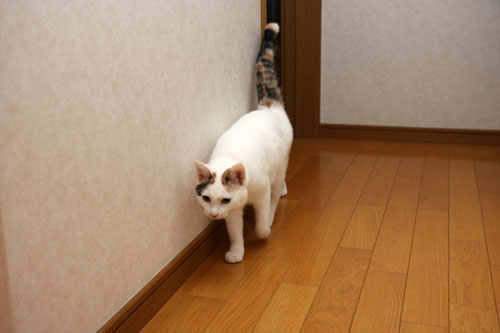 ムカつき笑子たん_d0355333_19384556.jpg