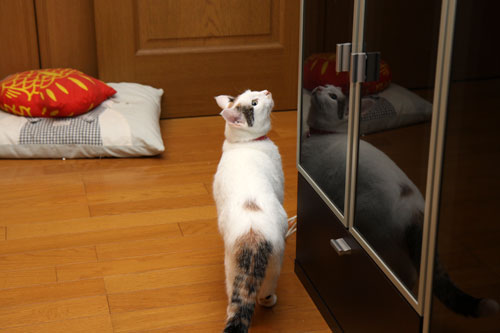 ムカつき笑子たん_d0355333_19384575.jpg