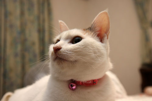 ムカつき笑子たん_d0355333_19384682.jpg