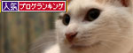 ムカつき笑子たん_d0355333_19384795.jpg