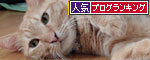 ひったりフィット_d0355333_19385094.jpg