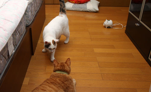 ちゅ。_d0355333_19385271.jpg